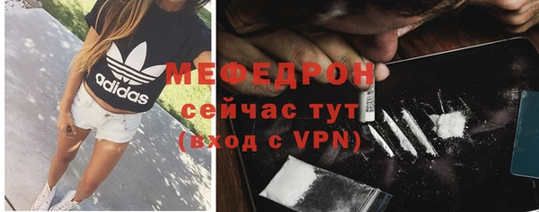 шишки Гусев