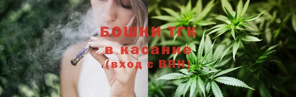 шишки Гусев