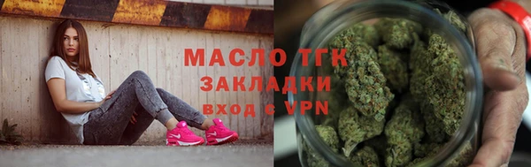 шишки Гусев