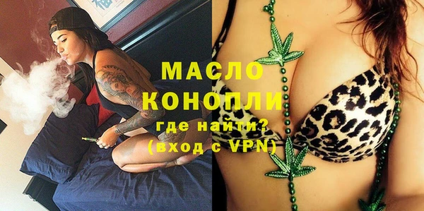шишки Гусев