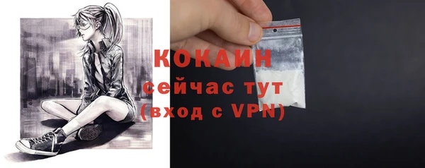 шишки Гусев