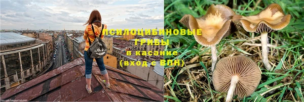 круглые Сясьстрой
