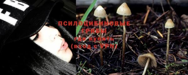 Альфа ПВП Тавда